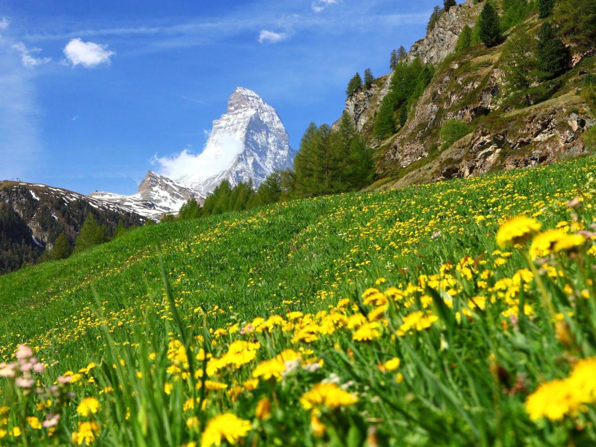 Apartment Alba By Interhome Zermatt Dış mekan fotoğraf