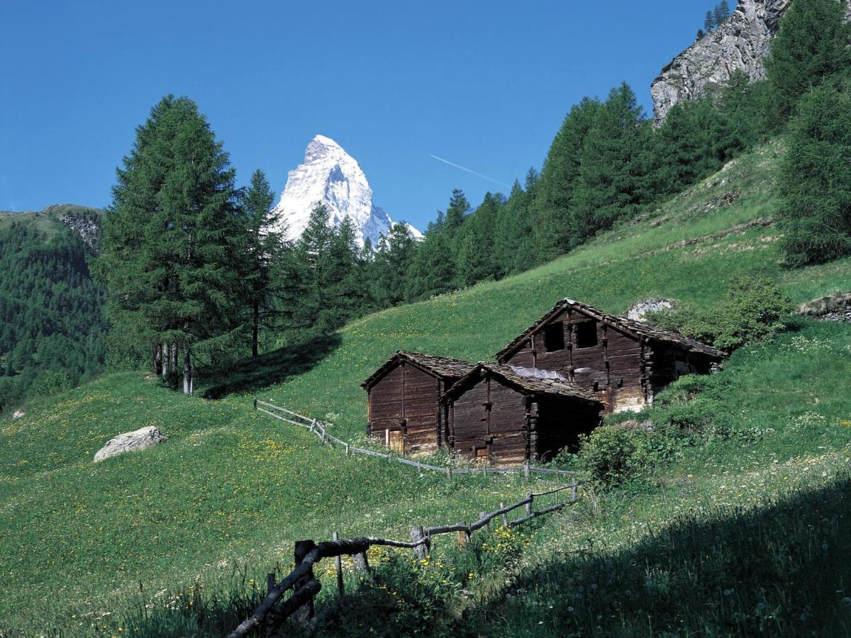 Apartment Alba By Interhome Zermatt Dış mekan fotoğraf
